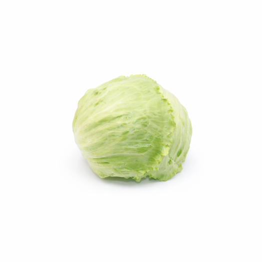 Iceberg Marul - Adet